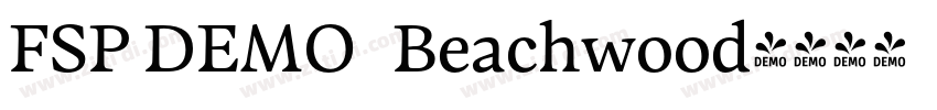 FSP DEMO   Beachwood字体转换